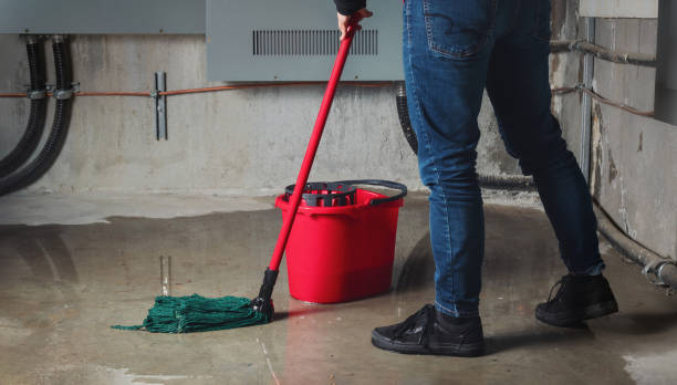 Best Local water damage restoration  in Lo, HI