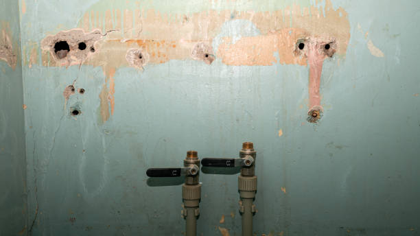 Fire Damage Restoration in Hilo, HI