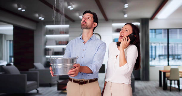 Best 24/7 water damage repair  in Lo, HI