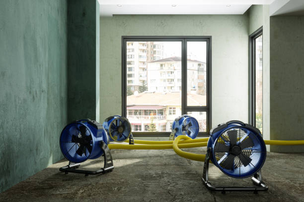 Sewage cleanup and water damage restoration in Hilo, HI