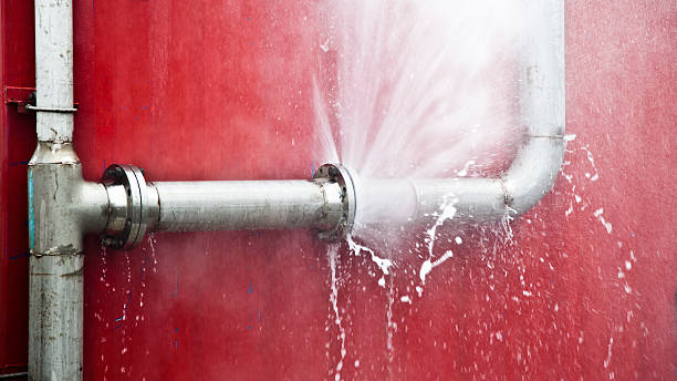 Best Local water damage restoration  in Lo, HI